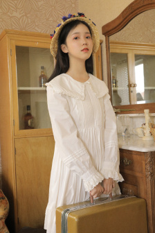 完美世界动漫免费全集观看